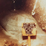 IMG_8235-2-150x150-1 IMG_8235-2-150x150-1